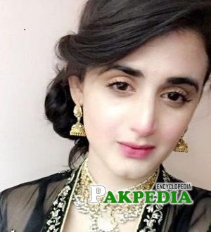 Hira Mani biography