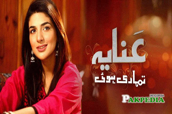 Rabab Hashim Dramas