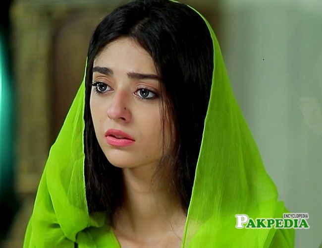 Noor Khan dramas 'Khidmat guzar'