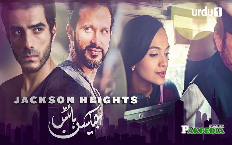 Adeel Hussain dramas