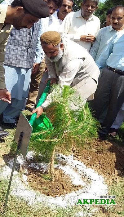 Amjad Mehmood Chaudhry while planting trees
