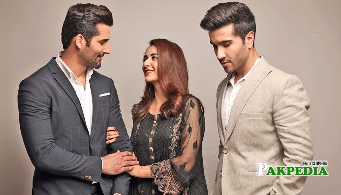 Zain baig with the cast of 'Dil kia karai'