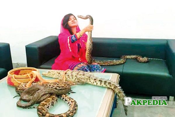 Rabi peerzada threatened Indian PM with snakes