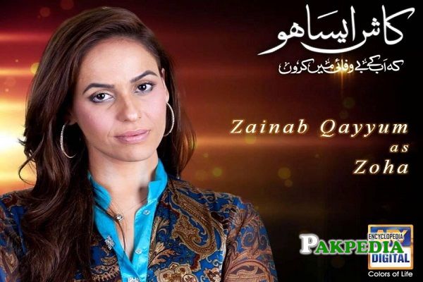 Zainab Qayyum Dramas