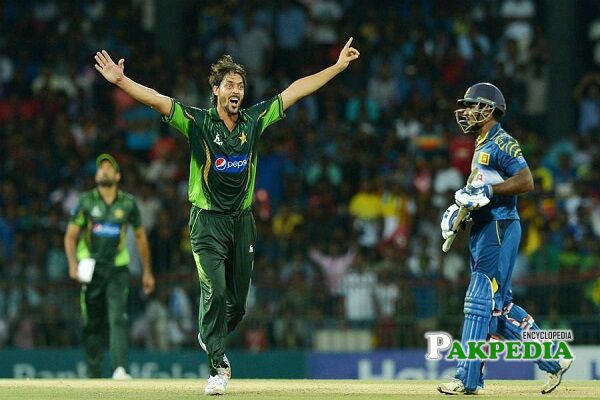 anwar ali stats