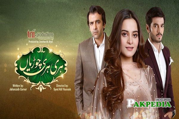 Hassan Ahmad Dramas