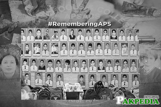 Army Public School Peshawar Attack