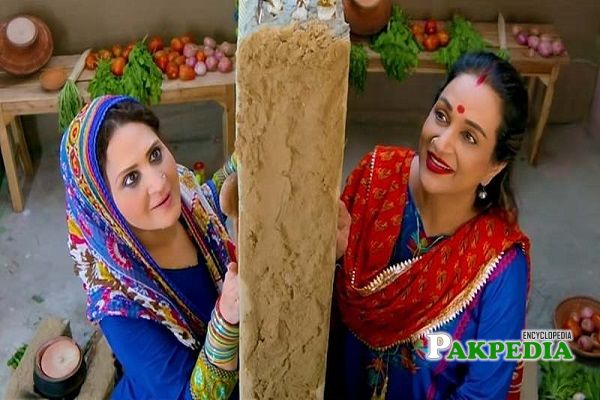 Bushra Ansari Parody