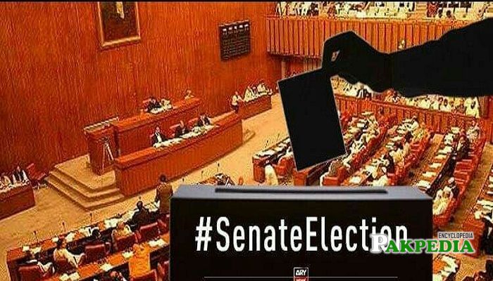 Senate Elections