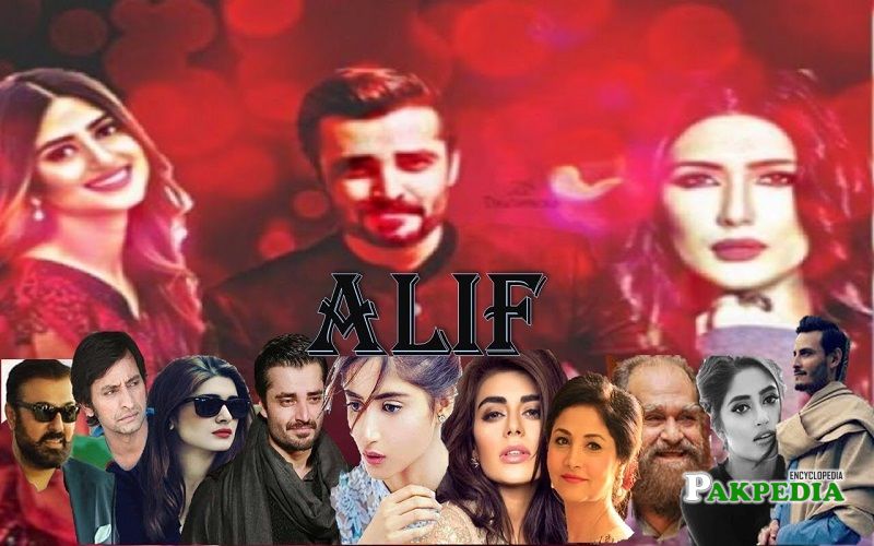 Hamza Ali Abbasi Dramas