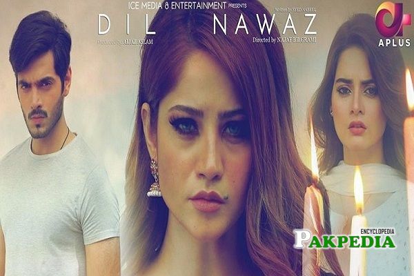 Neelam Muneer dramas