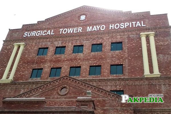 Mayo Hospital History