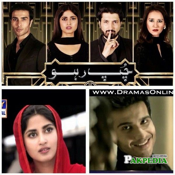 Arjumand Rahim Dramas