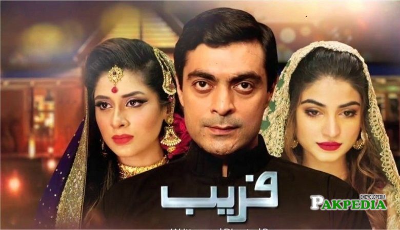 Kinza Hashmi dramas 'Faraib'