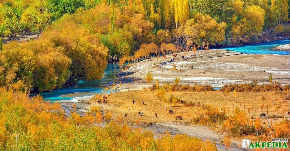 Gilgit Baltistan Tour Guide Pakistan