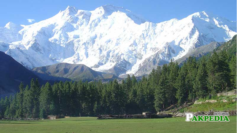 Fairy Meadows