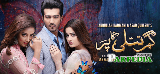 Arsalan Raja Dramas