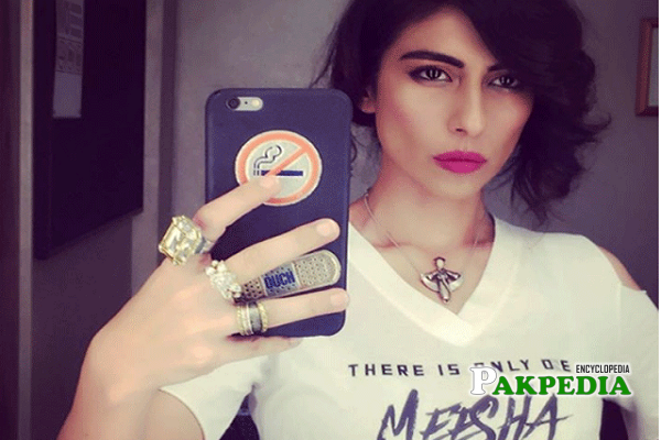 Meesha Shafi Biography