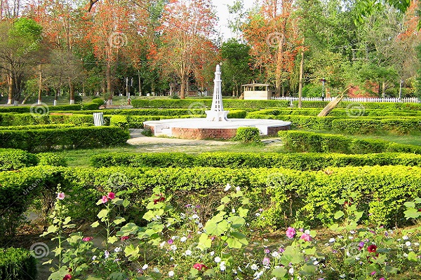 Changa Manga Forest park