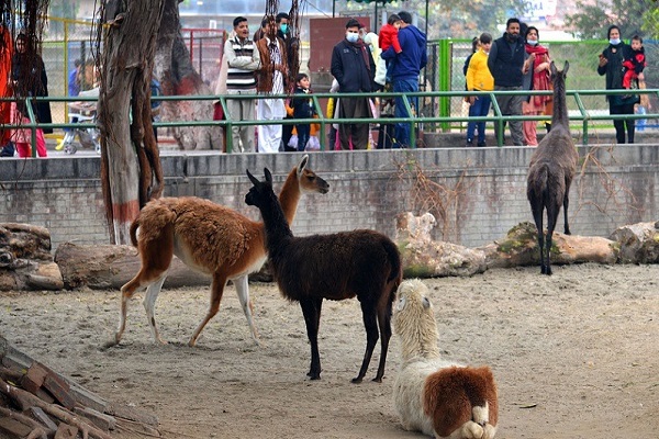 Lahore Zoo location