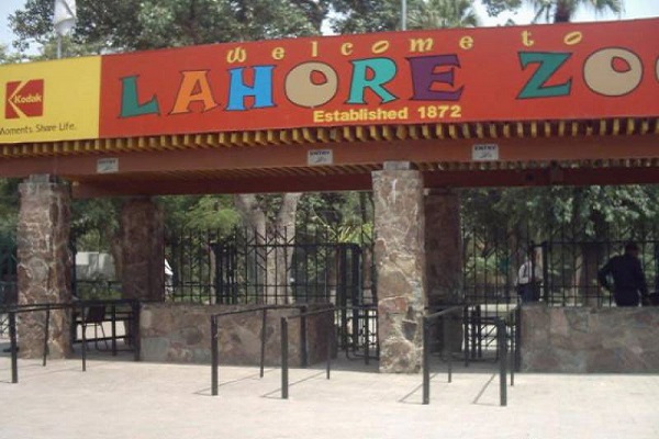 Lahore Zoo safari