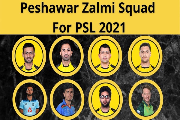 Peshawar Zalmi owner