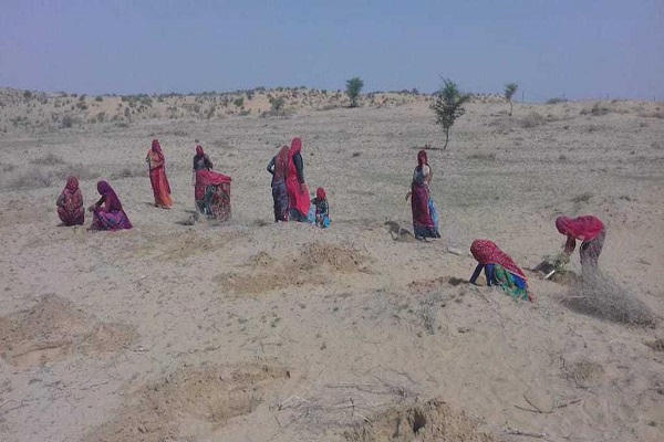 Thar Desert Pakistan