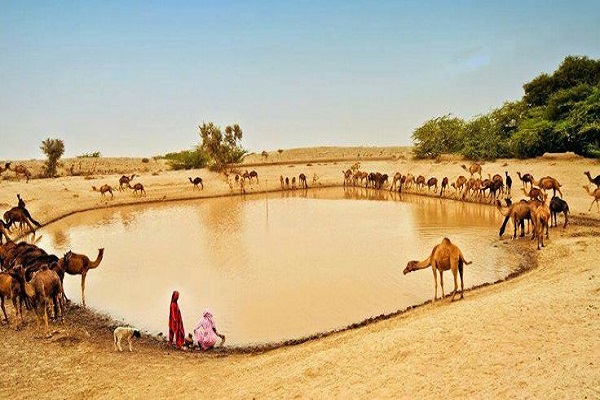 Thar Desert facts