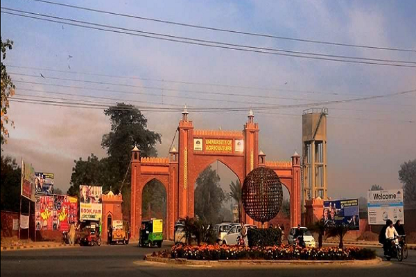 University of Agriculture Faisalabad History