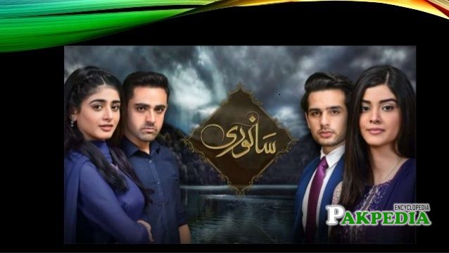 Zainab Shabbir Dramas