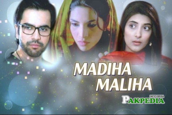Zhalay Sarhadi Dramas