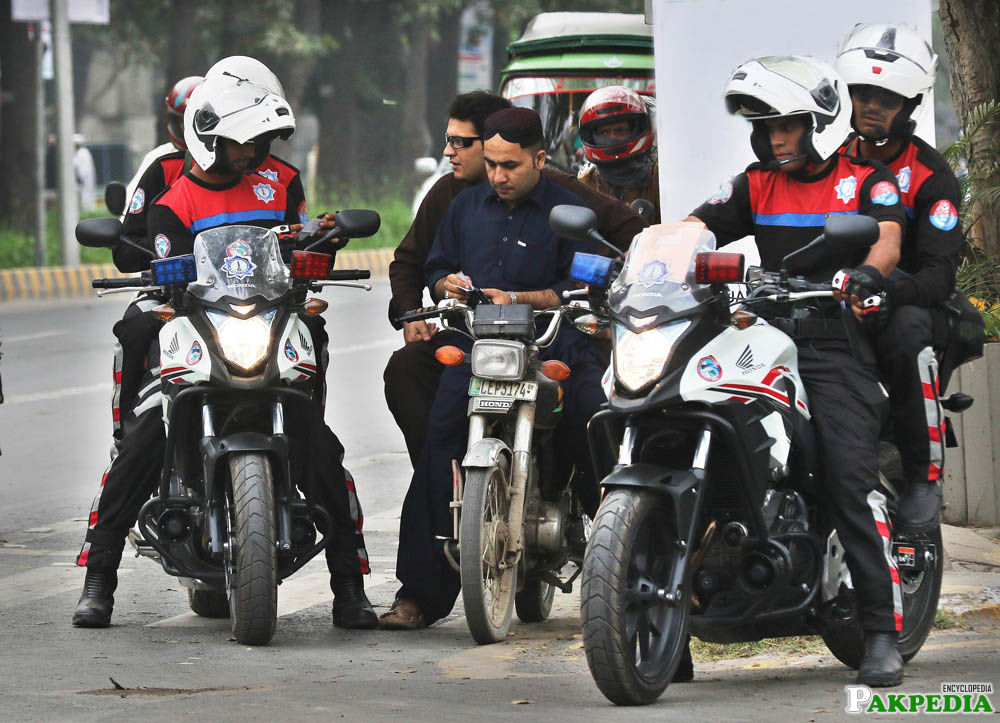 Dolphin Force going to snap checking