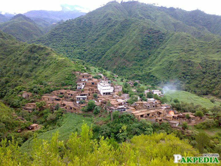 Swabi