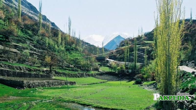 Nagar Valley in Gilgit-Baltistan