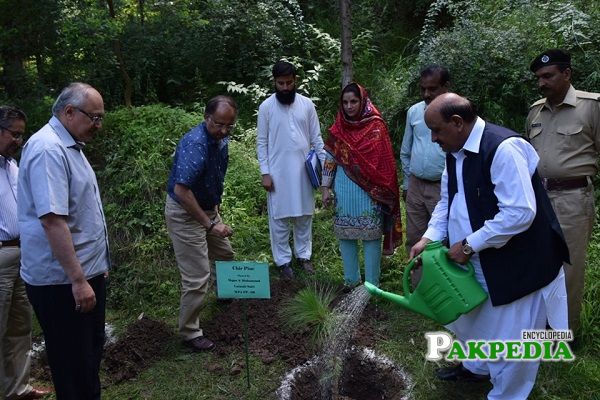Muhammad Latasab Satti while planting tree