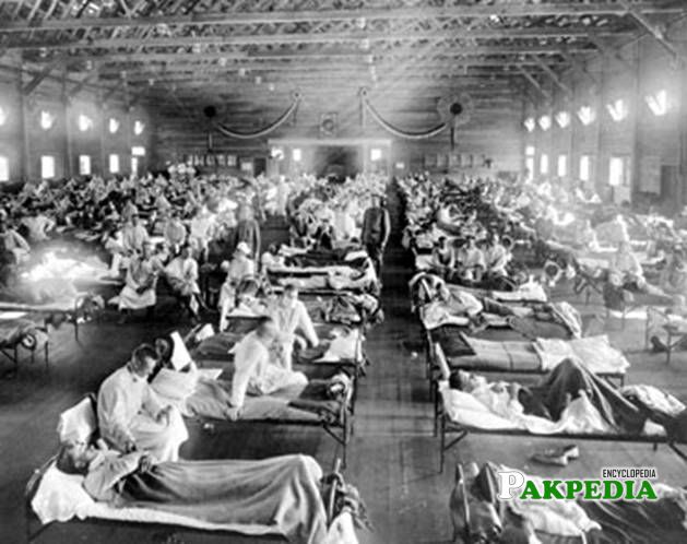 1931 outbreak of swine flu