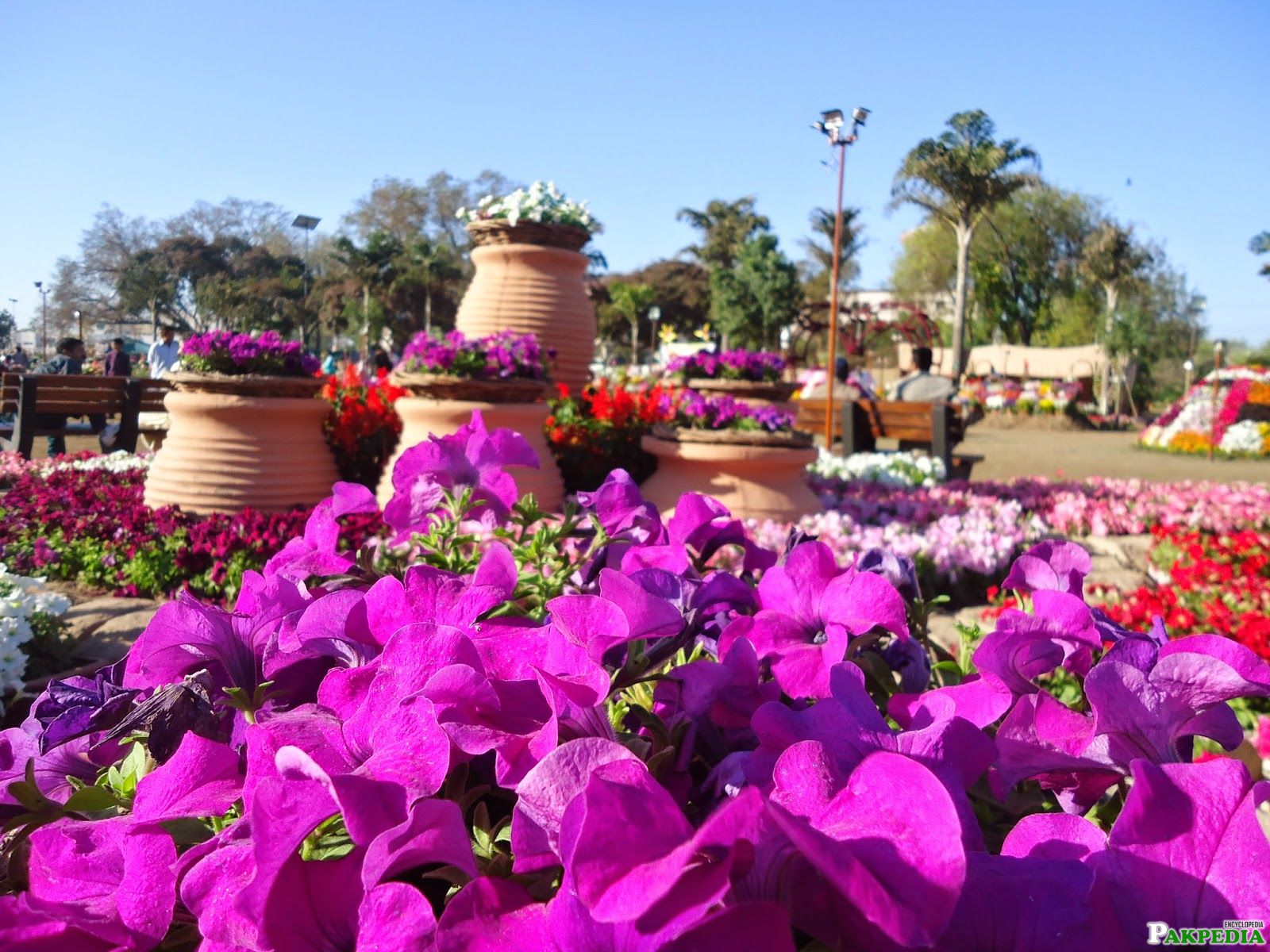 Lahore Beautiful Park