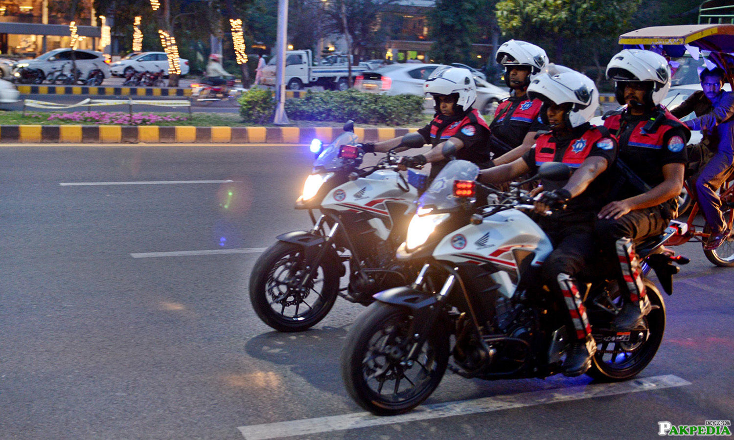 Dolphin Force on Petroling