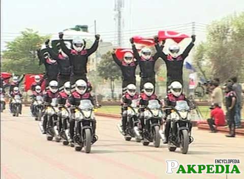 A Best prade by Dolphin Force
