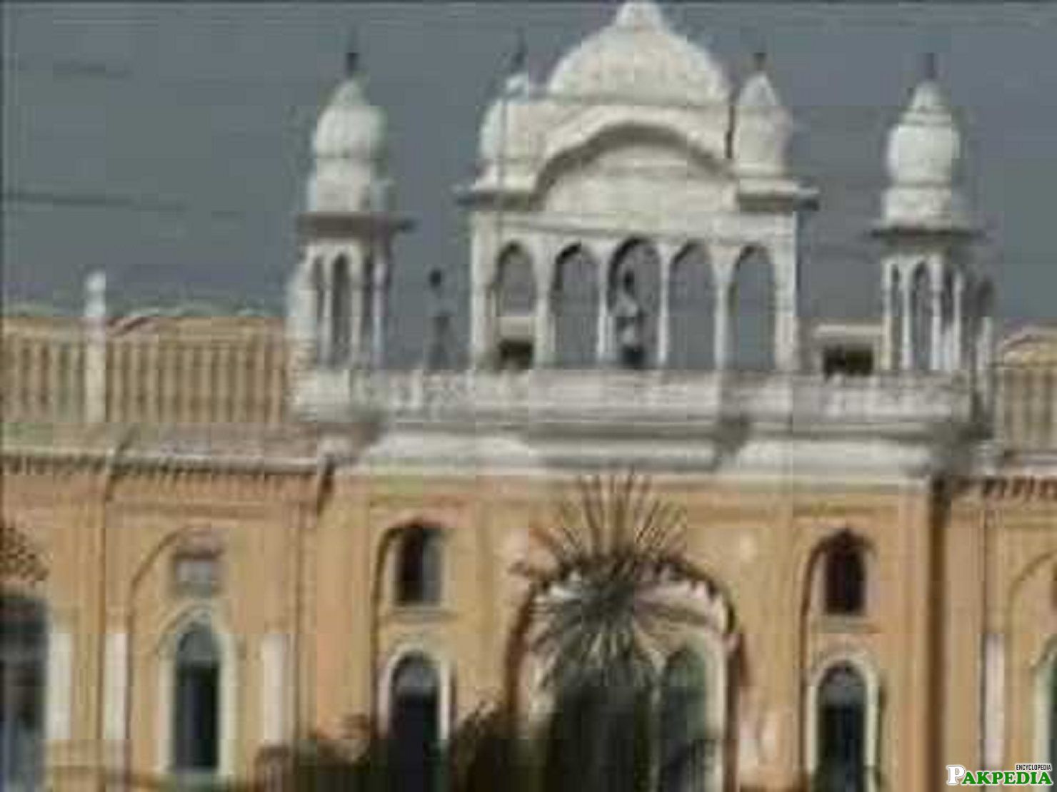 Gurdwara Janam Asthan (Nankana Sahib)