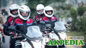 Dolphin Force has a good Equipment