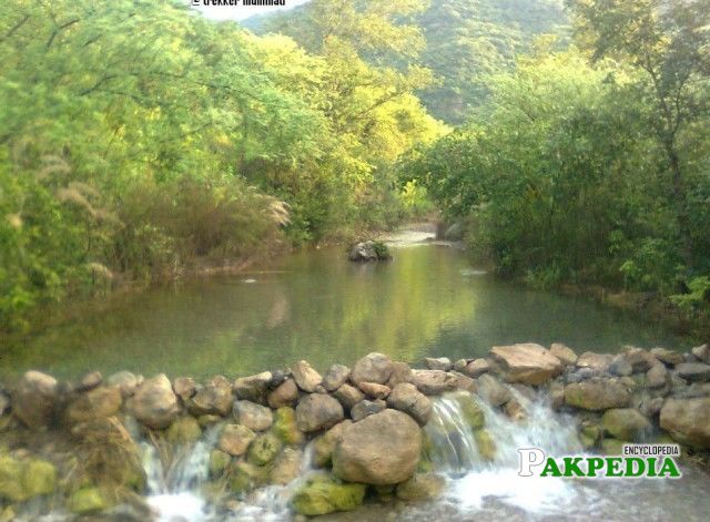 A splendid lake somewhere amidst the Margalla Hills