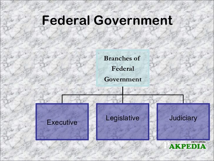 Branches of Government of Pakistan
